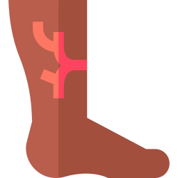 Historia clínica detallada